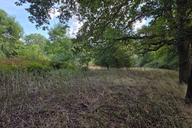 Land on the south side of Northaw Road West, Potters Bar, Hertfordshire, EN6 4QY 4