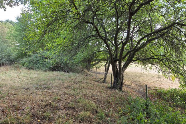 Land on the south side of Northaw Road West, Potters Bar, Hertfordshire, EN6 4QY 4