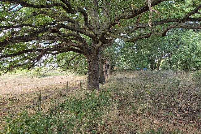 Land on the south side of Northaw Road West, Potters Bar, Hertfordshire, EN6 4QY 4