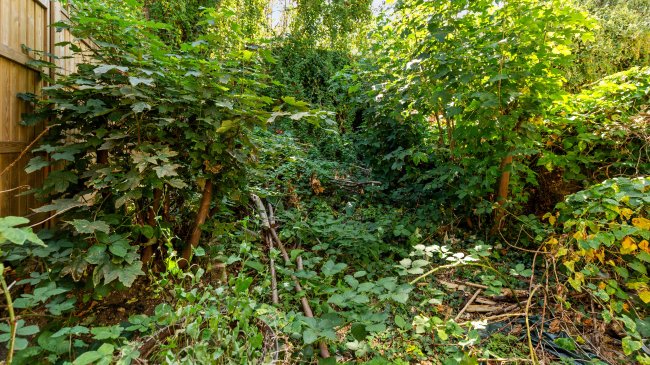 Flat A, 98 Lowden Road, Herne Hill, London, SE24 0BQ 2