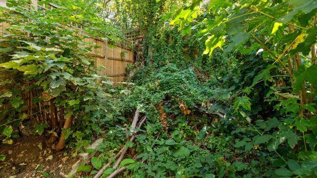 Flat A, 98 Lowden Road, Herne Hill, London, SE24 0BQ 2