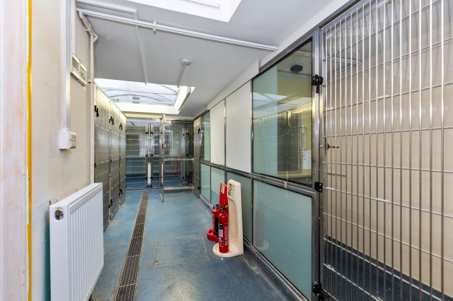 135 Junction Road, Archway, London, N19 5PX 9