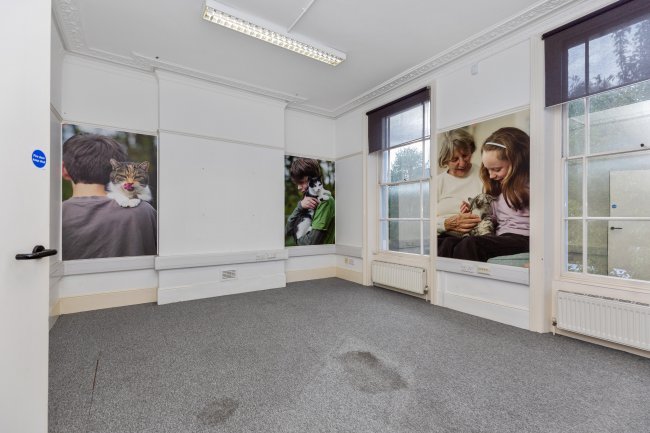 135 Junction Road, Archway, London, N19 5PX 9