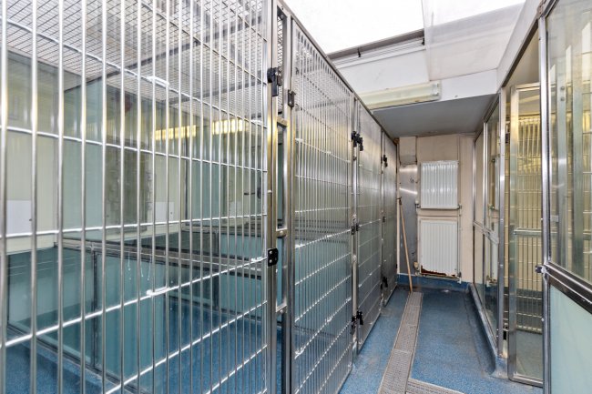 135 Junction Road, Archway, London, N19 5PX 9