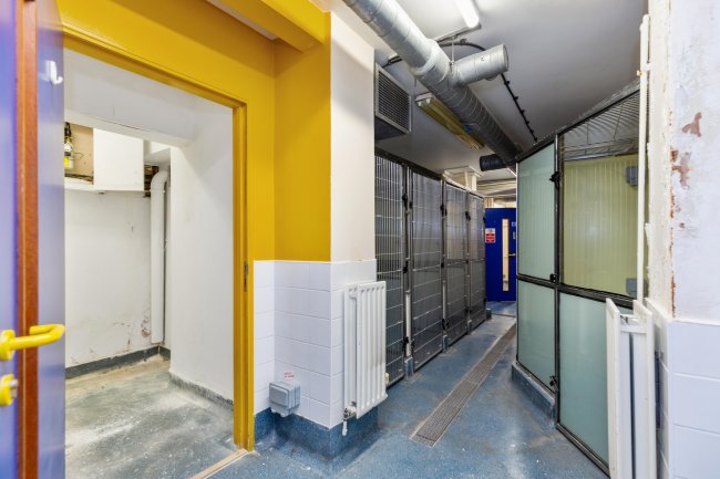 135 Junction Road, Archway, London, N19 5PX 9