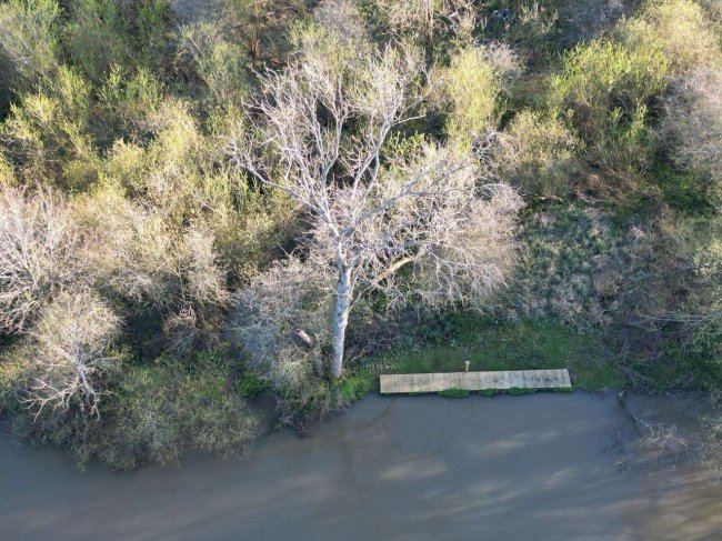 Hallsmead Ait, Shiplake, Henley on Thames, Berkshire, RG9 4BW 5