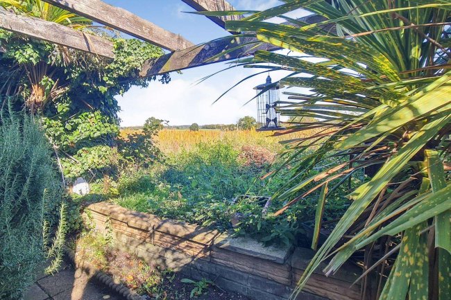 Pear Tree Cottage, Kirstead, Norfolk, NR15 1EA 5