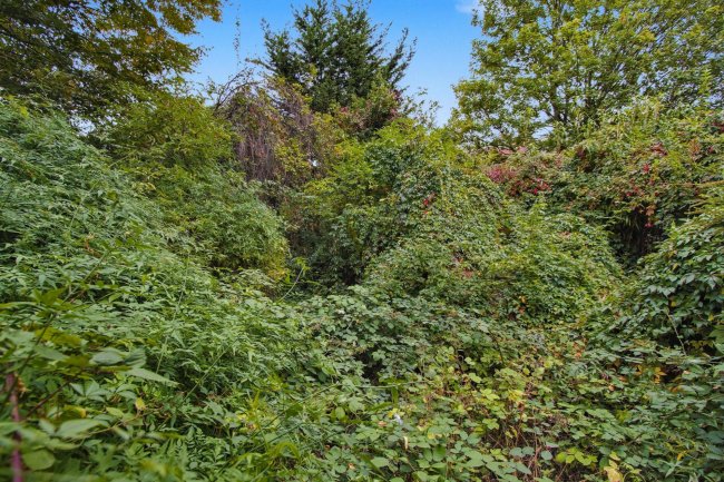 196 High Road, Tottenham, London, N15 4NP 2