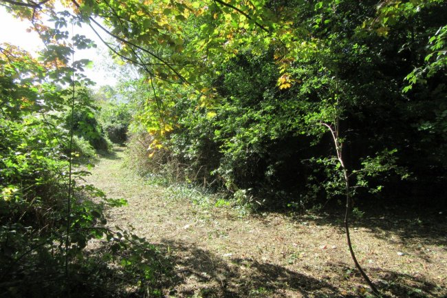 28 Oakley Road, Luton, LU4 9PU 5