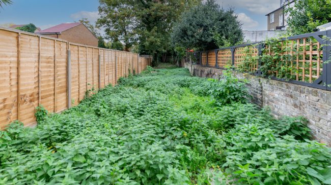 Flat 66A & 66B Rectory Road, Stoke Newington, London, N16 7SH 3