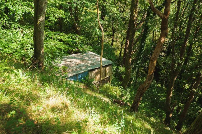 Panteinion Hall, Ffordd Panteinion, Friog, Fairbourne, Gwynedd, LL38 2TJ 9