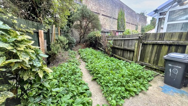 19 Whitburn Road, Lewisham, London, SE13 7UQ 3