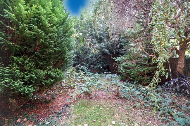 Flat 3, 23 Charleville Circus, Crystal Palace, SE26  6NR 4