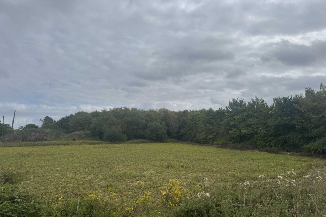 Land Between Station Garage and Railway Cottage, Main Road, Darsham, IP17 3PW 2