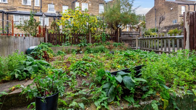 7A and 7B St Stephens Grove, Lewisham, London, SE13 5AJ 6