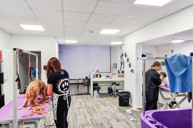 11 & 11a Cumberland Street, Plymouth, PL1 4DX 7