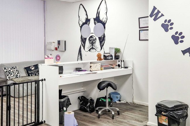 11 & 11a Cumberland Street, Plymouth, PL1 4DX 7