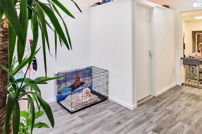 11 & 11a Cumberland Street, Plymouth, PL1 4DX 7