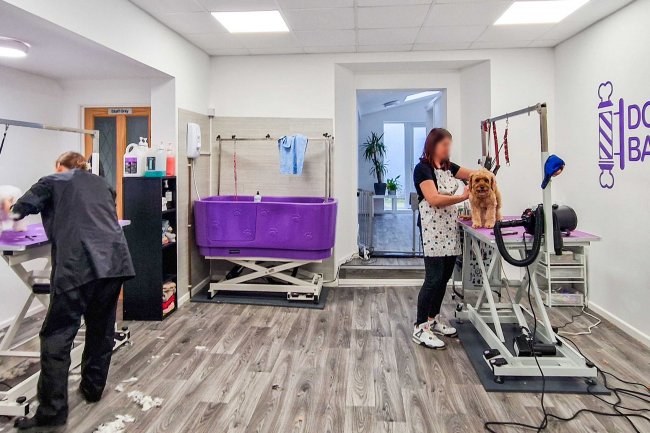 11 & 11a Cumberland Street, Plymouth, PL1 4DX 7