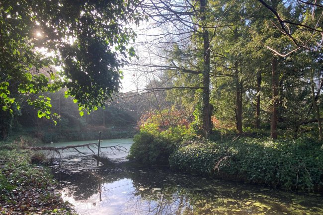 Land On The South Side Of Farm Hill Road Waltham Abbey EN9 1LH 3