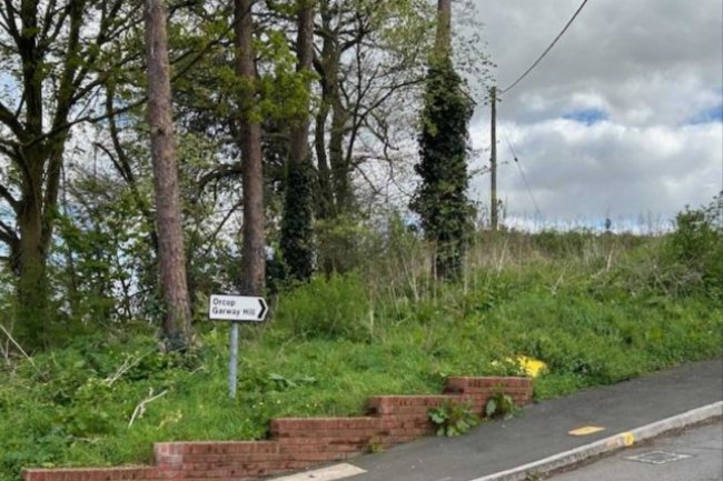 Development Site Opposite Spite House, Pontrilas, Herefordshire, HR2 0BJ 10