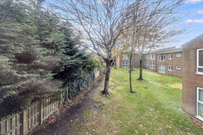 87 Cambo Place, North Shields, Tyne and Wear, NE30 3RL 8