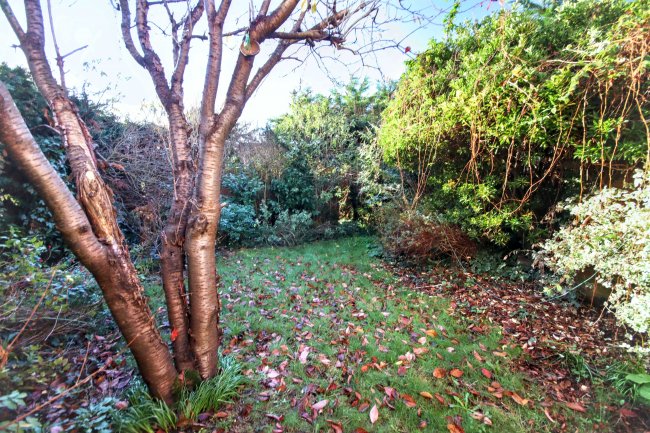 6 Burnaby Close, Brampton, Huntingdon, Cambridgeshire, PE28 4SA 3