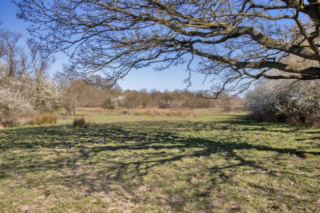 Land on the north-west side of Peeks Brook Lane, Horley, Surrey, RH6 9SX 5