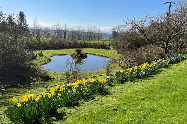 Highstead Ash, West Hall, Brampton, Cumberland, CA8 2ES 8