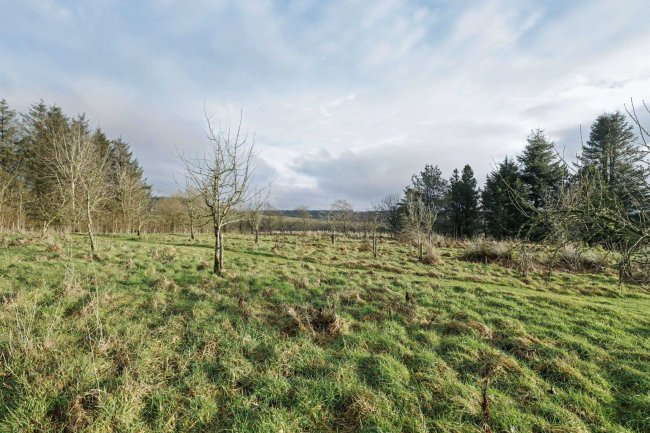 Highstead Ash, West Hall, Brampton, Cumberland, CA8 2ES 8