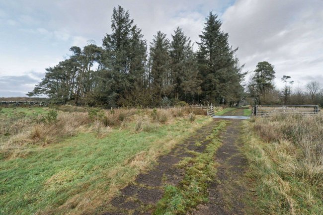 Highstead Ash, West Hall, Brampton, Cumberland, CA8 2ES 8