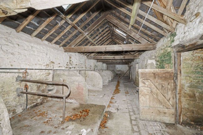 Highstead Ash, West Hall, Brampton, Cumberland, CA8 2ES 8