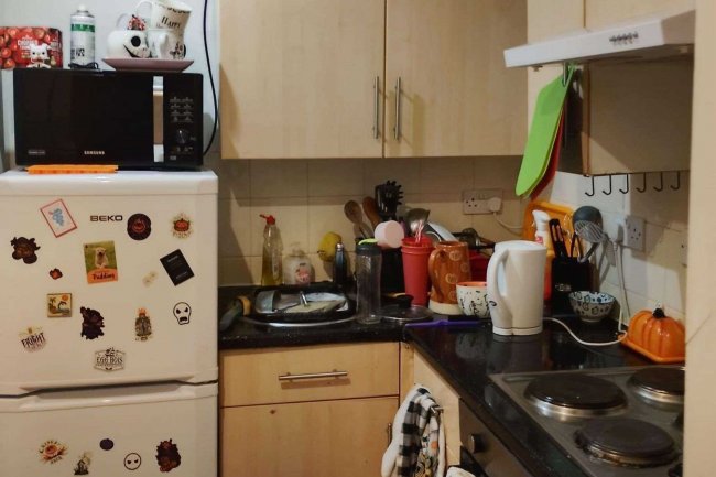 14 Stanmore Road, Edgbaston, Birmingham, B16 9TA 8