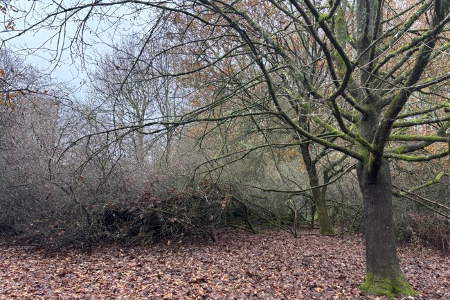 The Brambles Cottage and Campsite, Penman’s Hill, Chipperfield, Kings Langley, WD4 9DJ 6