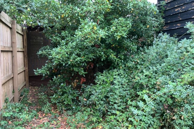 Blandford Cottage South, Vale Croft Woods, Shoe Lane, Farnborough, Hampshire, GU11 2HE 5