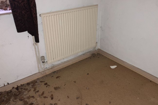 Blandford Cottage South, Vale Croft Woods, Shoe Lane, Farnborough, Hampshire, GU11 2HE 5