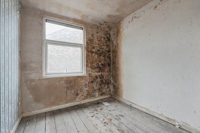 35 Bibbys Lane, Bootle, Merseyside, L20 4JJ 5