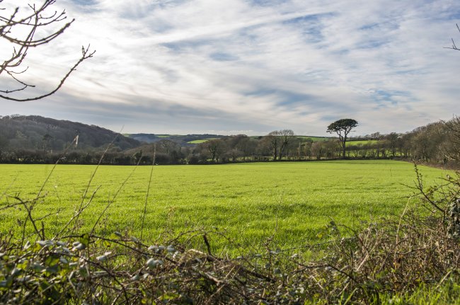 Nansloe Manor and Nansloe Lodge, Helston, Cornwall, TR13 0SB 7
