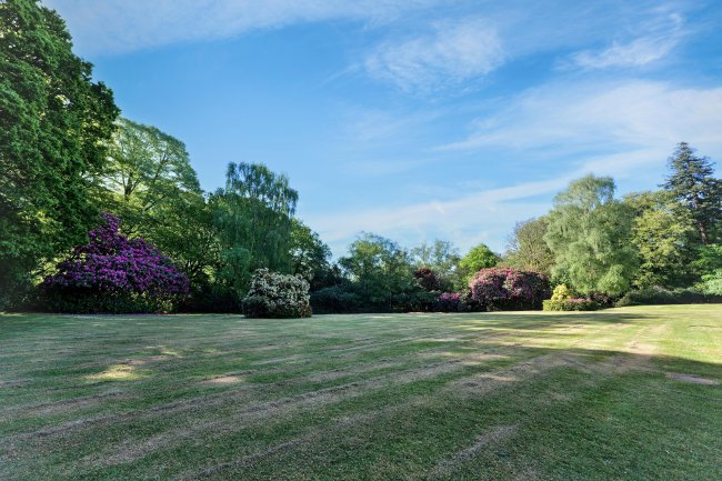 2 Castle Malwood Lodge, Minstead, Lyndhurst, SO43 7HB 3
