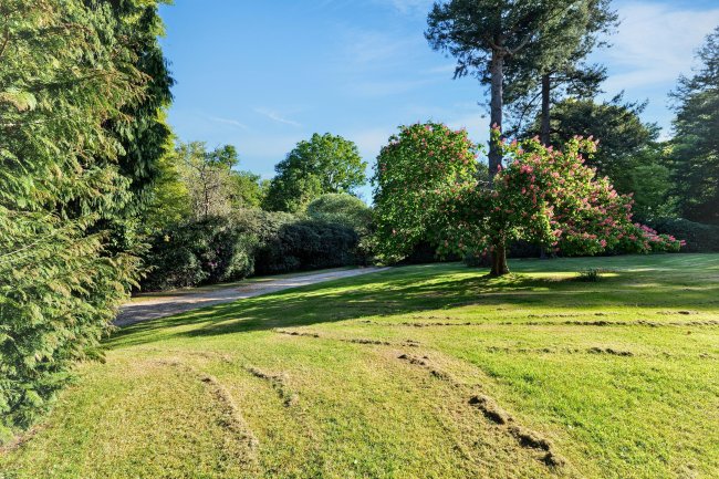 2 Castle Malwood Lodge, Minstead, Lyndhurst, SO43 7HB 3