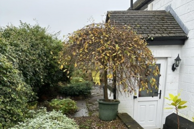 Montpelier Farm Cottage, Montpelier Place, Buxton, Derbyshire, SK17 7EJ 1