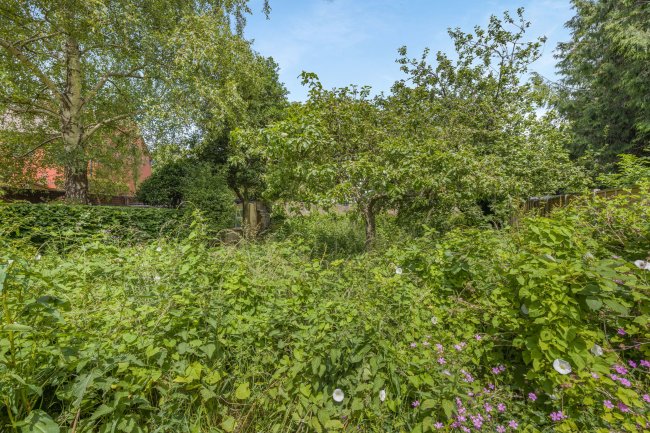 Land to the rear of 62 Okehampton Road, Exeter, EX4 1EP 2