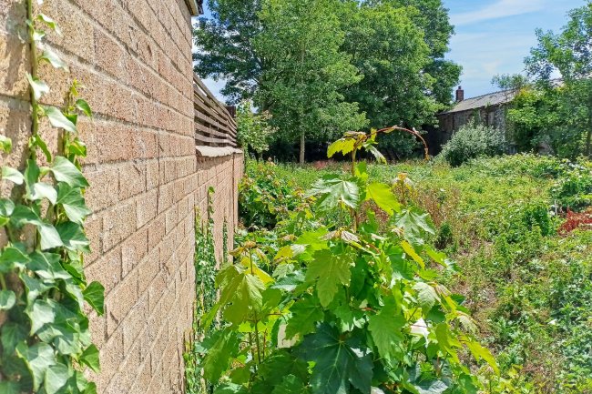 Land at Crabtree Croft, Linton, Cambridge, CB21 4JL 7