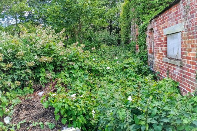 Land at Crabtree Croft, Linton, Cambridge, CB21 4JL 7