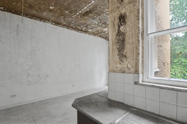 Flat D, 119 Cambridge Gardens, London, W10 6JA 7