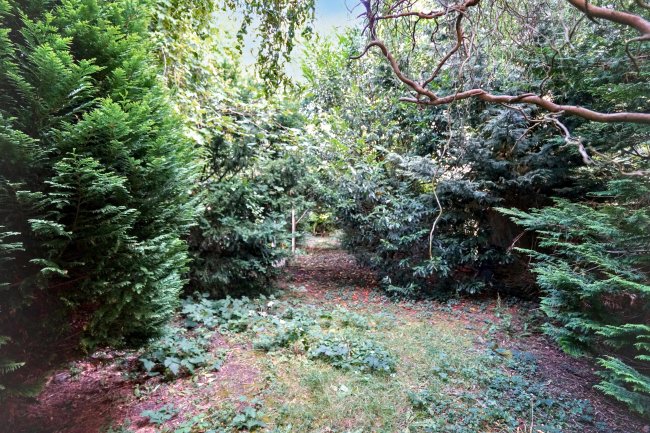 Flat 3, 23 Charleville Circus, Crystal Palace, London SE26  6NR 4