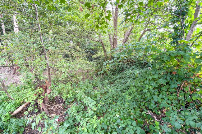 Land on the South Side of Farm Drive, Croydon, CR0 8HX 2