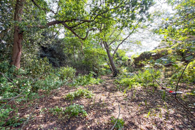 Land on the South Side of Farm Drive, Croydon, CR0 8HX 2