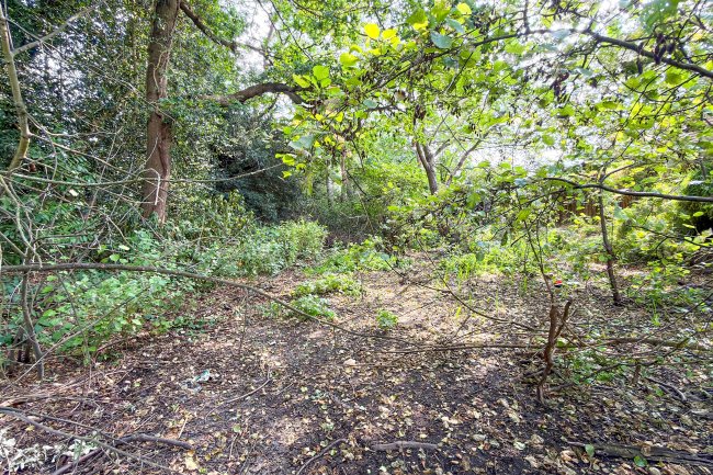 Land on the South Side of Farm Drive, Croydon, CR0 8HX 2
