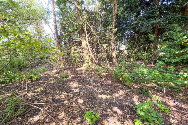 Land on the South Side of Farm Drive, Croydon, CR0 8HX 2